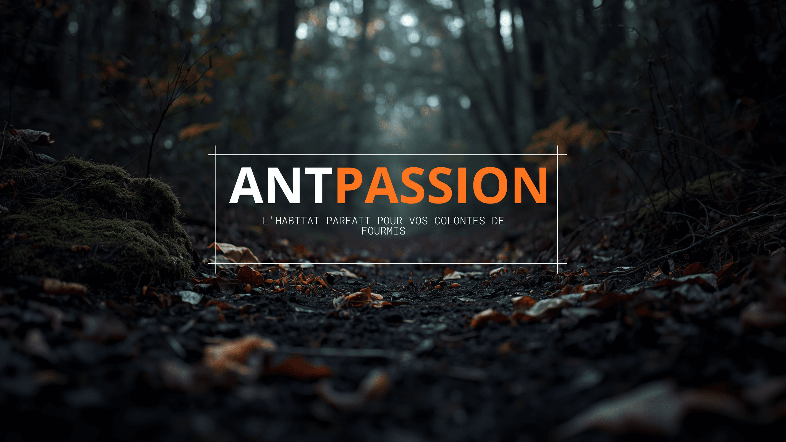 Bannière d'en-tête habitat parfait Ant Passion